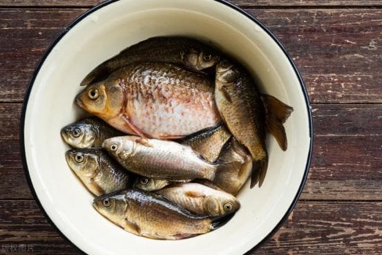 Khi mua cá diếc cần chú ý phân biệt giữa cá diếc đất và cá diếc ao-7