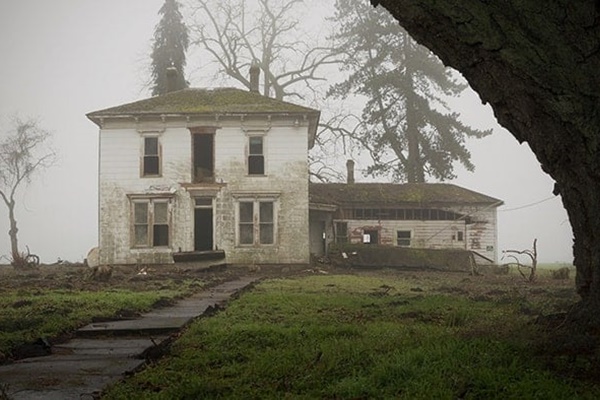 Người xưa nói: Ngũ hoa đua nở, phúc lộc đến nhà, cây cảnh này nở hoa là dấu hiệu phong thủy tốt-11