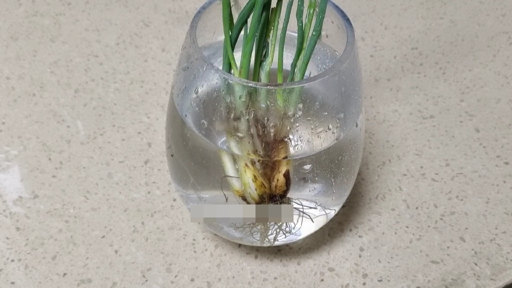 Đường trắng – sát thủ đáng gờm trong việc làm sạch, công dụng thứ 5 ít người biết đến-5