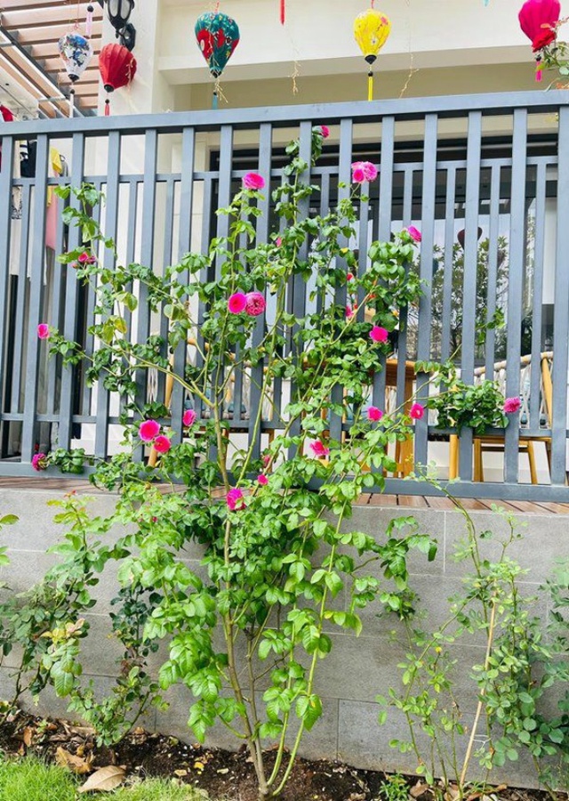 Làm mẹ lần 2 sau 13 năm với chồng mới, Vân Hugo sống viên mãn với gia đình nhỏ trong ngôi nhà hoa hồng-12