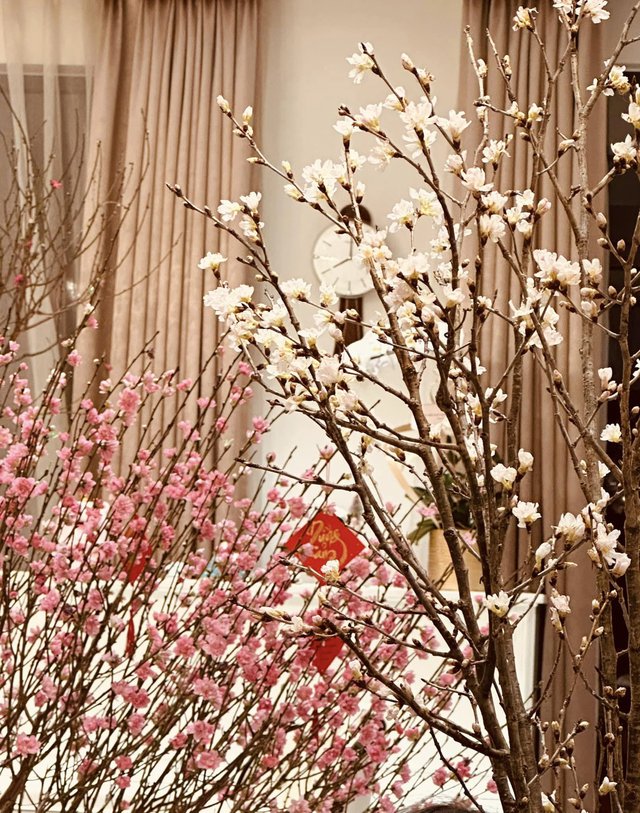 Làm mẹ lần 2 sau 13 năm với chồng mới, Vân Hugo sống viên mãn với gia đình nhỏ trong ngôi nhà hoa hồng-8