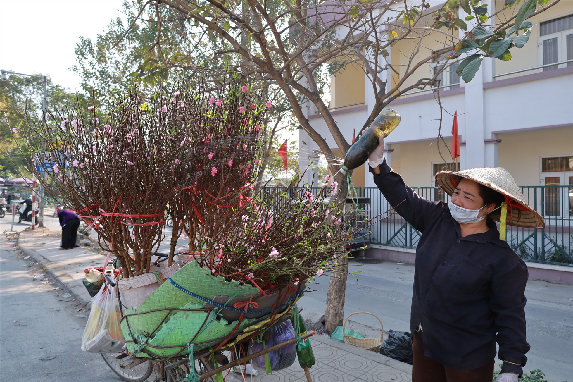 Đào cuối vụ, hoa bưởi đắt khách dịp Rằm tháng Giêng-2