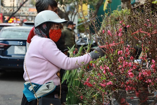 Đào cuối vụ, hoa bưởi đắt khách dịp Rằm tháng Giêng