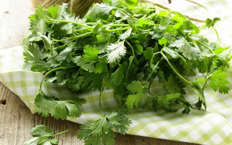 Rau mùi mua về nhanh thối hỏng: Làm theo cách này để 3 tháng rau vẫn tươi, nấu gì cũng ngon-3