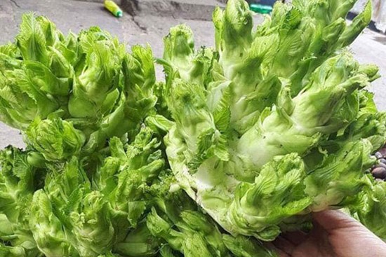 Loại rau đặc sản miền núi xuống phố, dân buôn ngày bán cả tạ
