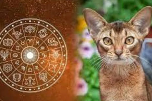 Chạy trời không thoát nắng: 3 tuổi con cháu Phật Tổ sống hiền lương, tiền tự về tay năm 2023, 1 tuổi nghèo khổ-2