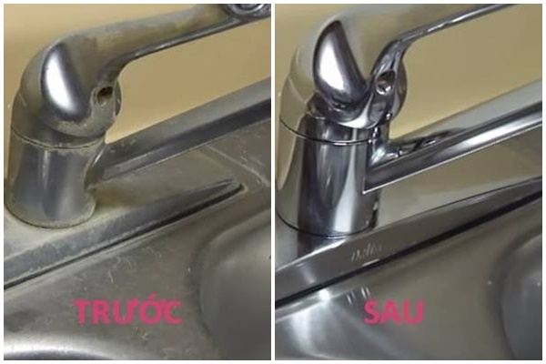 Gián ghét nhất thứ này: Chỉ cần đặt trong nhà gián một đi không trở lại, chẳng hề tốn tiền-4