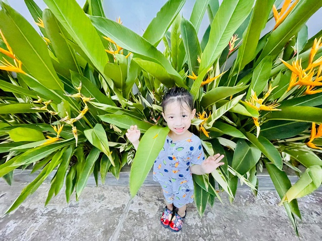 Cơ ngơi siêu sang Ốc Thanh Vân vừa tậu trong năm mới-18