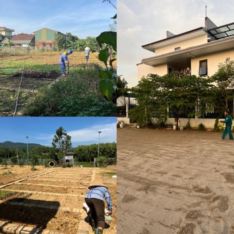Mẹ đơn thân bỏ phố về quê sau 15 năm, xây nhà 5,5 tỷ với khu vườn 2000m2 bạt ngàn rau trái-7