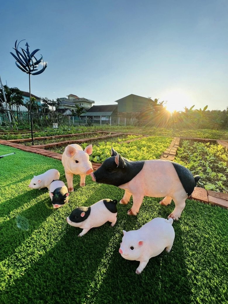 Mẹ đơn thân bỏ phố về quê sau 15 năm, xây nhà 5,5 tỷ với khu vườn 2000m2 bạt ngàn rau trái-9