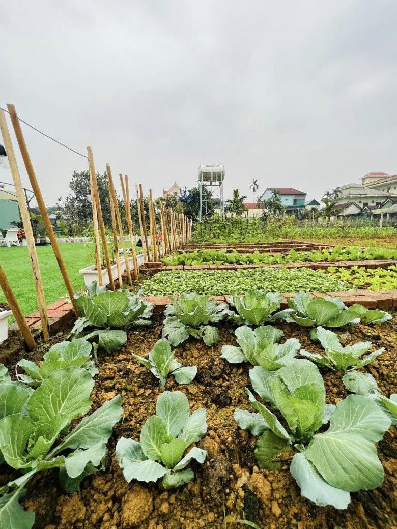 Mẹ đơn thân bỏ phố về quê sau 15 năm, xây nhà 5,5 tỷ với khu vườn 2000m2 bạt ngàn rau trái-10