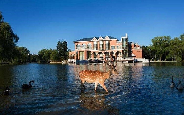 Chốn đi về của bộ 3 Bản lĩnh Kỷ Hiểm Lam: Toàn nhà khủng, đại thần Hòa Thân chẳng kém cạnh Càn Long-13