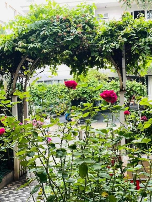 Choáng ngợp với biệt thự gần gũi thiên nhiên, đặc biệt là khu vườn đầy hoa trái của Thân Thúy Hà-3