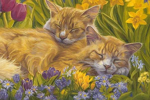 Trời xanh an bài: 4 tuổi gặp thời hoàng kim, từ 2023 trở đi tiền tài đỏ rực-5