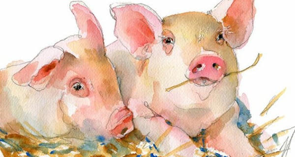 Trời xanh an bài: 4 tuổi gặp thời hoàng kim, từ 2023 trở đi tiền tài đỏ rực-2