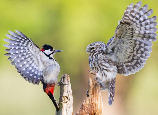 Người sinh vào 3 tháng Âm lịch này tinh thông, sắc sảo sự nghiệp phát đạt, tiền bạc không thiếu-1