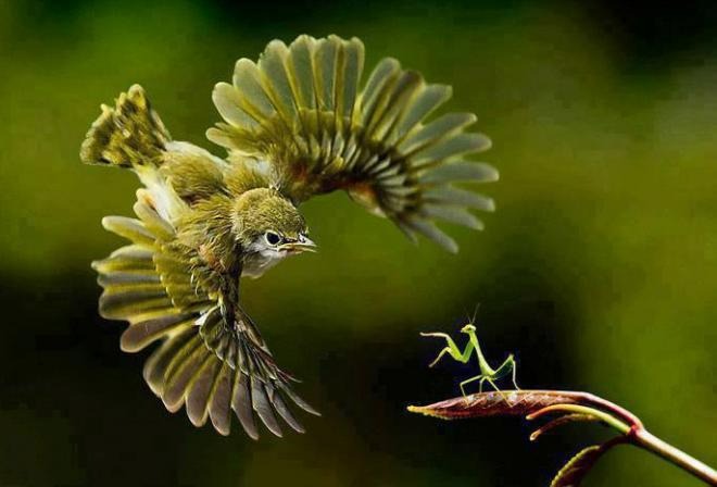 Người sinh vào 3 tháng Âm lịch này tinh thông, sắc sảo sự nghiệp phát đạt, tiền bạc không thiếu-3