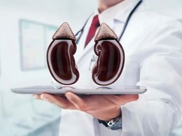 4 việc giúp thận khỏe trong thời điểm vàng”-1