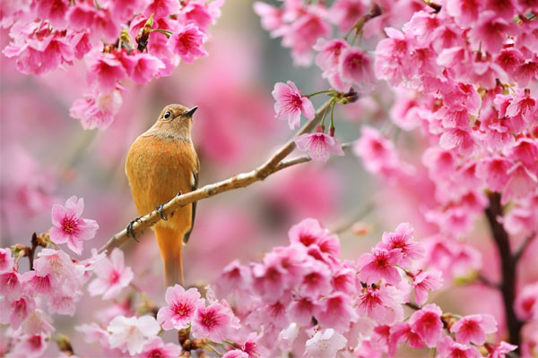 Ngọc Hoàng gọi tên 3 con giáp đỏ nhất 2023, nửa đầu năm may mắn ngập tràn, cuối năm tiền vào như thác đổ-2