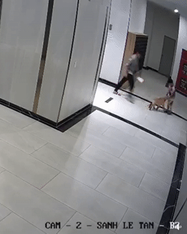 Bảo vệ bé trai khỏi chó dữ, thanh niên bị đấm nát mặt-1