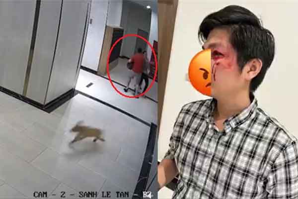 Diễn biến nóng vụ không rọ mõm chó còn đánh người ở quận 7-3