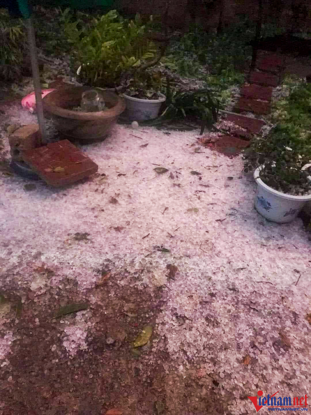 Mưa đá với mật độ dày ở thành phố Điện Biên Phủ-1