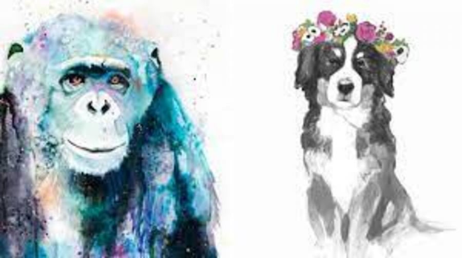 Ngọc Hoàng gọi tên 3 con giáp đỏ nhất 2023, nửa đầu năm may mắn ngập tràn, cuối năm tiền vào như thác đổ-1