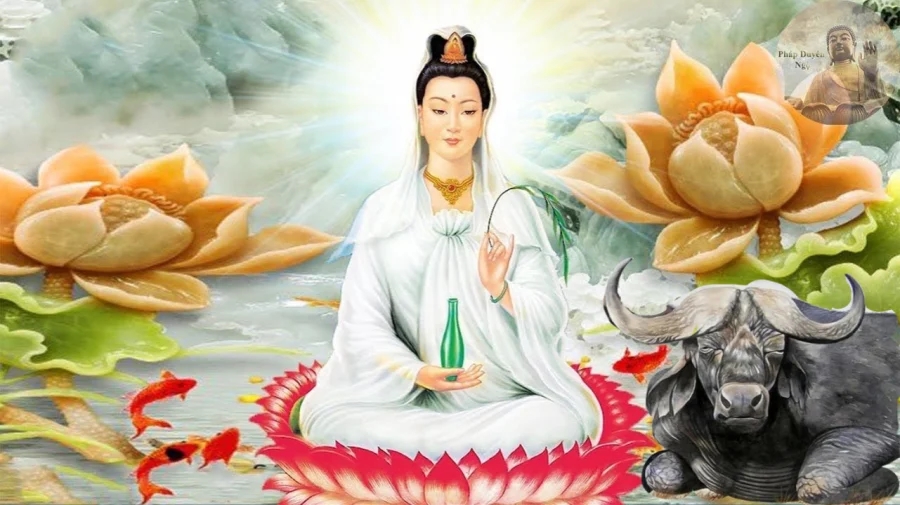 Có đức sẽ có phần: 3 tuổi ăn lộc Phật Bà Quan Âm sống xởi lởi tiền bạc tự về tay 2 năm tới-2