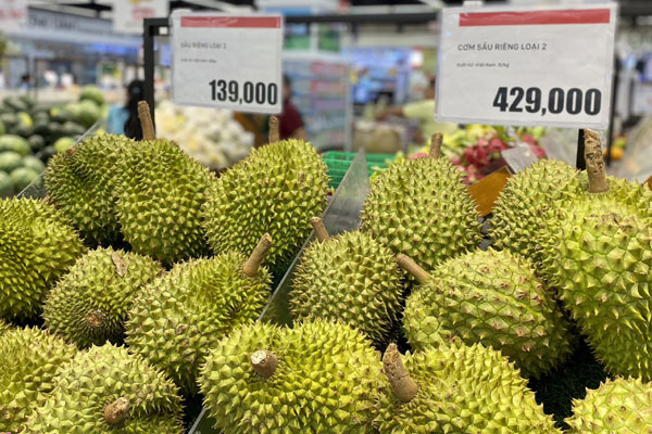 Từ cao kỷ lục, giá trái sầu riêng sụt giảm bất thường, mất gần 100.000 đồng/kg-2