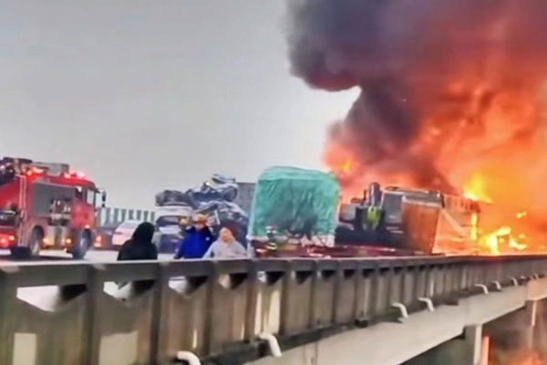 Đồ tể mất mạng khi lợn trong lò mổ bất ngờ tỉnh lại-2