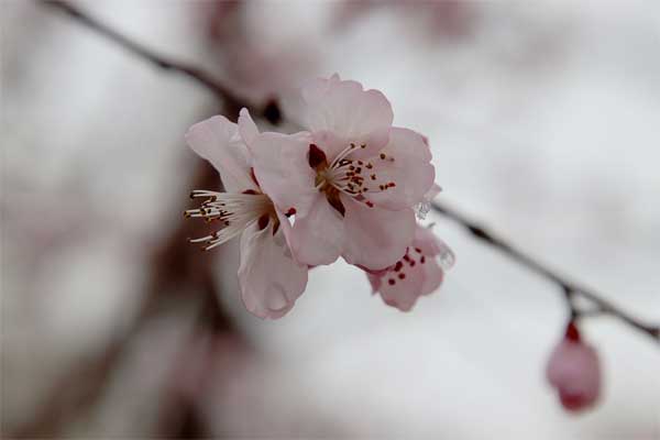 Sinh vào 6 ngày Âm lịch này, ở hiền gặp lành, năm 2023 có quý nhân nâng đỡ-1