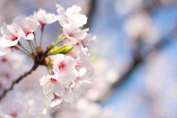 Sinh vào 6 ngày Âm lịch này, ở hiền gặp lành, năm 2023 có quý nhân nâng đỡ-2