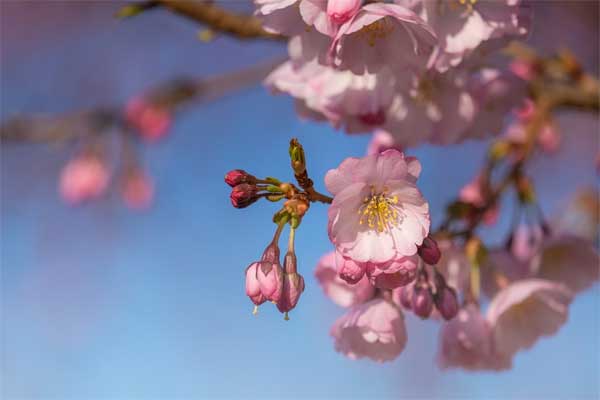 Sinh vào 6 ngày Âm lịch này, ở hiền gặp lành, năm 2023 có quý nhân nâng đỡ-3