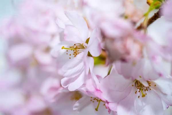 Tuần mới từ 6/2, 3 con giáp có vận đỏ như son, tài khoản nhảy số liên tục-1