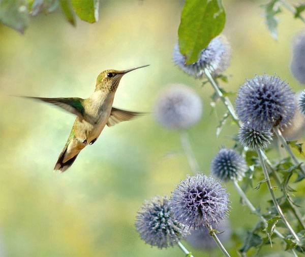 Ai sinh tháng Âm lịch này có gặp khó không lùi, thay đổi vận rủi bằng nỗ lực bản thân-1