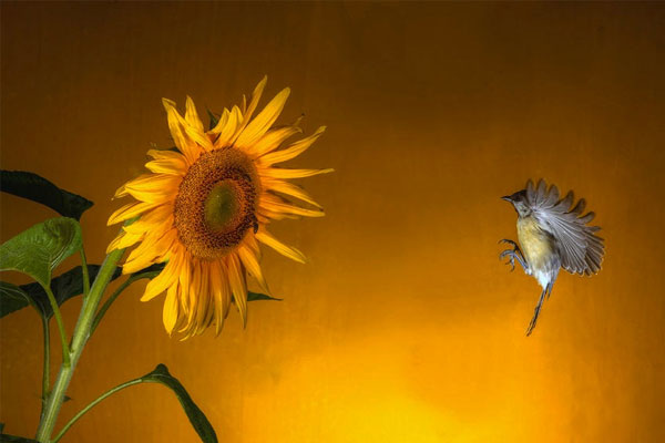 Ai sinh tháng Âm lịch này có gặp khó không lùi, thay đổi vận rủi bằng nỗ lực bản thân-4