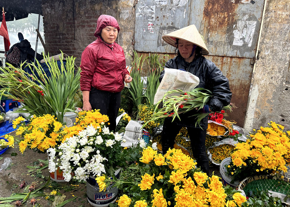 Sau Tết, hoa dơn giá rẻ như rau, chậu ly bằng cốc trà sữa-1