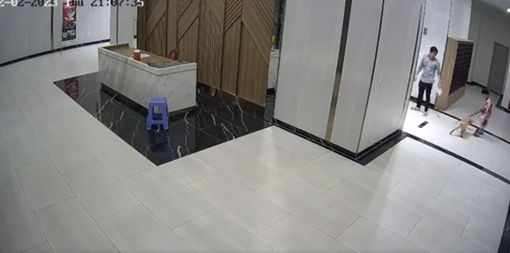 UBND TP HCM chỉ đạo khẩn vụ không rọ mõm chó còn đánh người-1