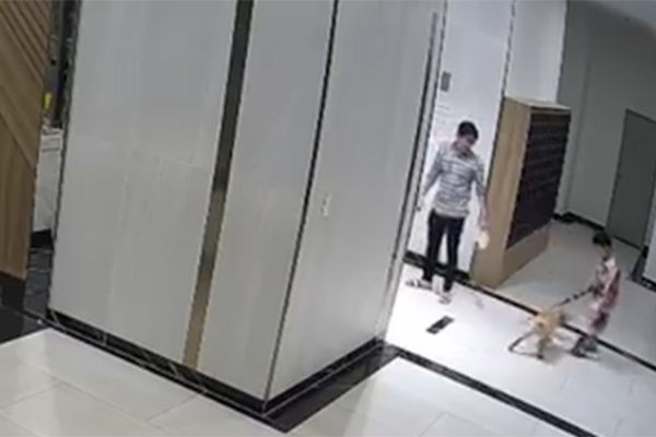 Hoàn Kiếm tổ chức sinh hoạt chính trị: Chủ tịch Hồ Chí Minh - tên Người sáng mãi-3