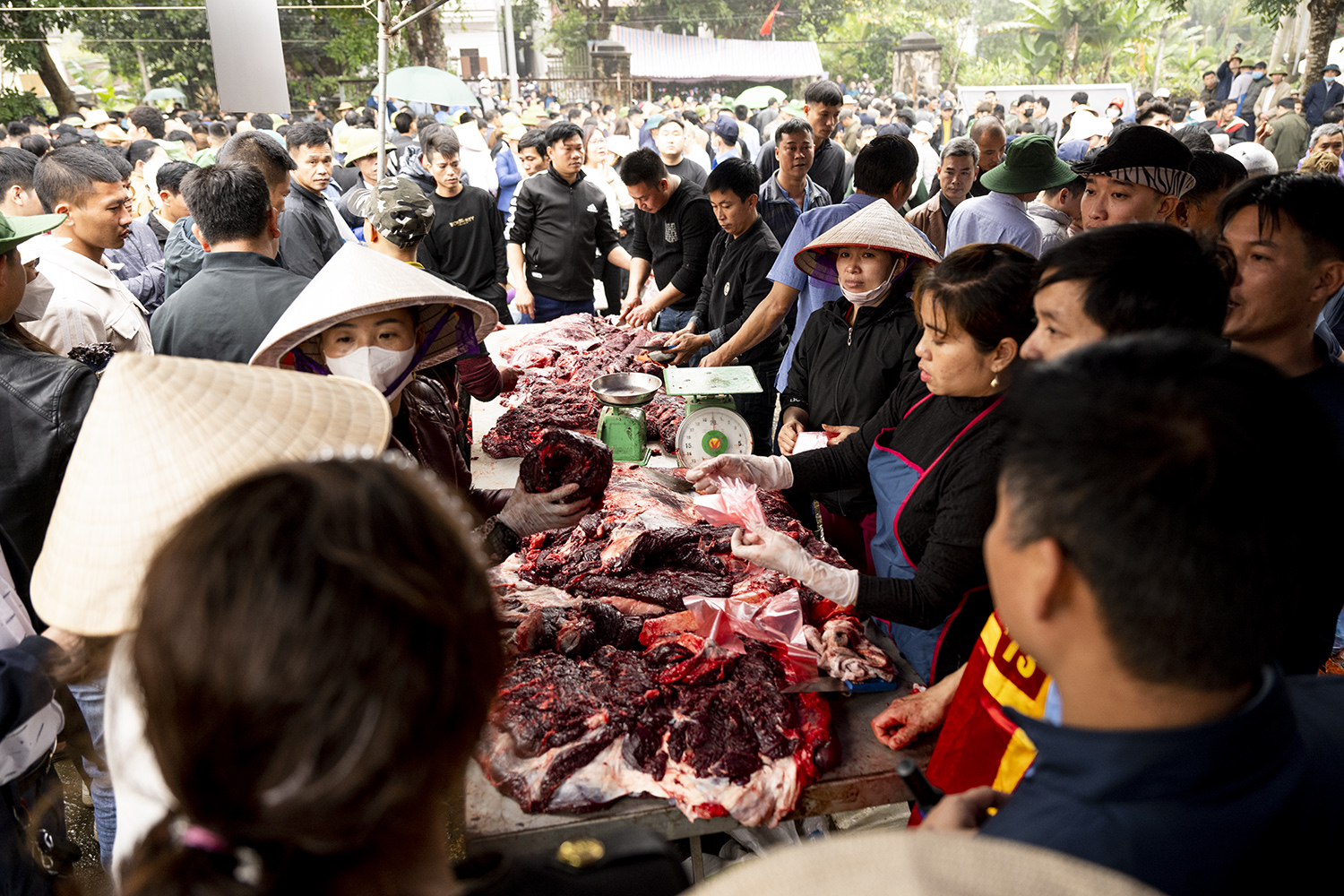 Tranh nhau mua thịt trâu chọi thắng trận giá 5 triệu đồng/kg-2