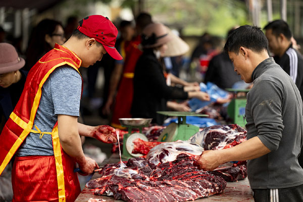 Nhiều người ùn ùn đi mua thịt trâu chọi giá tiền triệu ăn lấy may-8