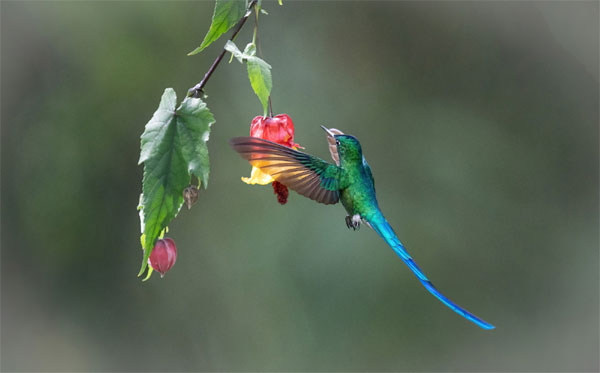 Quý cô sinh 3 ngày Âm lịch này điệu đà, may mắn, gia đình nề nếp, cuộc sống tốt đẹp-3