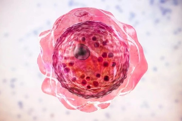 Một bệnh nhi nguy kịch vì nhiễm amip ăn não-2