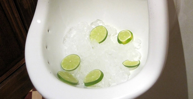 Lấy 1 tép tỏi thả vào bồn cầu ai cũng lắc đầu: Nhưng biết công dụng tất cả đều muốn làm theo-3