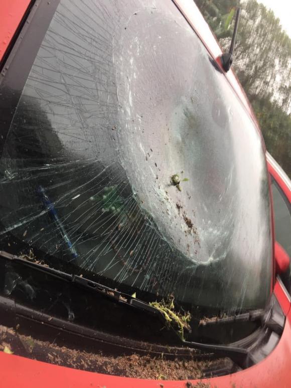 Lười mang đi vứt, một người sống ở tầng cao chung cư ném chậu hoa chơi Tết trúng đầu ô tô phía dưới-3