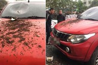 Lười mang đi vứt, một người sống ở tầng cao chung cư ném chậu hoa chơi Tết trúng đầu ô tô phía dưới