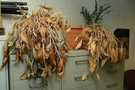 Người xưa dặn: 5 vật không buông bỏ, gia đình khó bình an, thịnh vượng-4