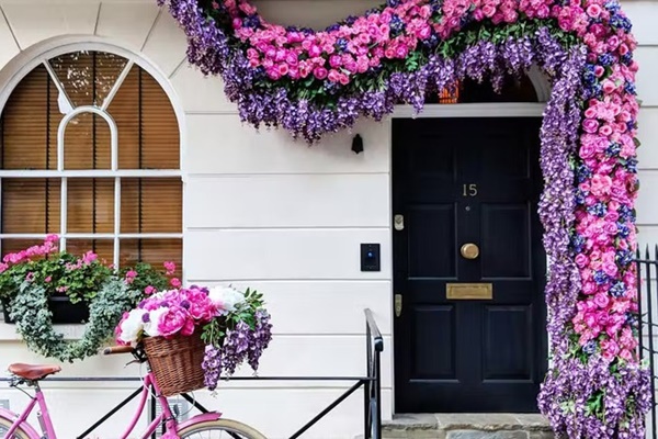 Người xưa có câu Nghèo trồng cỏ, giàu trồng cây”: Phòng khách trồng 6 cây này thì sớm phát tài-4