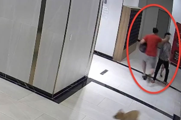 Chủ chó thả rông, đánh người gây thương tích ở TP.HCM sẽ bị xử lý thế nào?-1