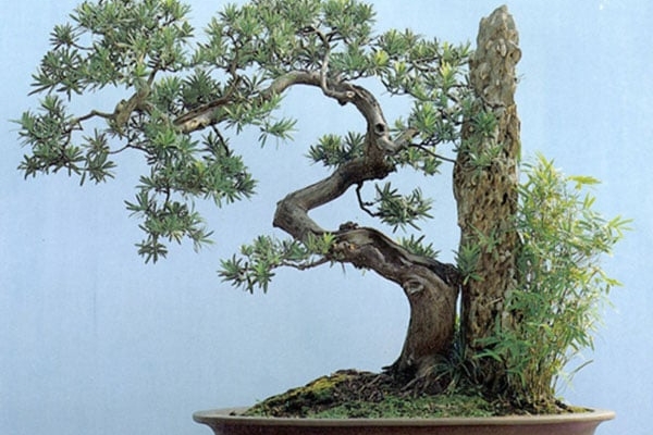 Cổ nhân nhắc nhở: 3 thứ xuất hiện trong nhà nào, nhà đó khánh kiệt, ly tan khó ngóc đầu đó là gì?-3